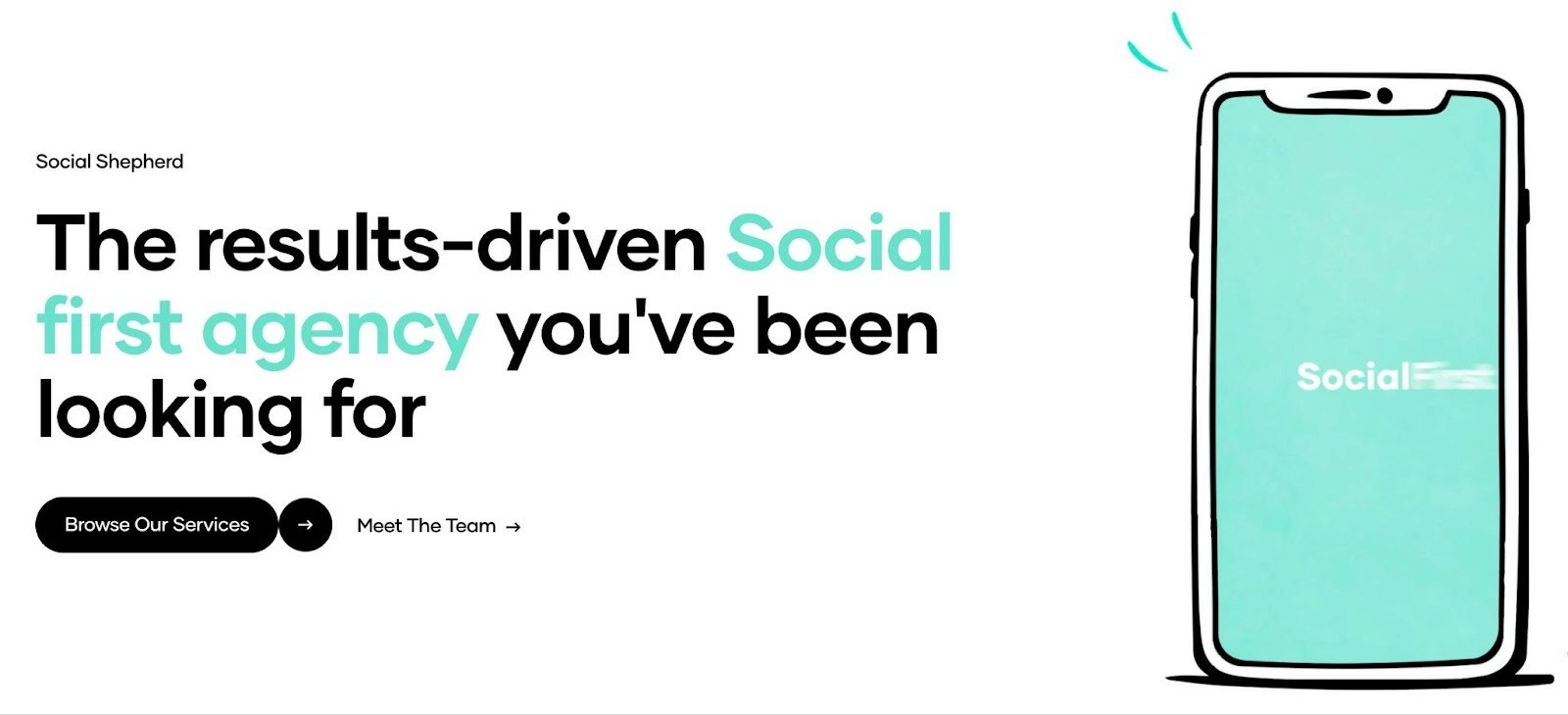 Social Shepherd, an ad agency