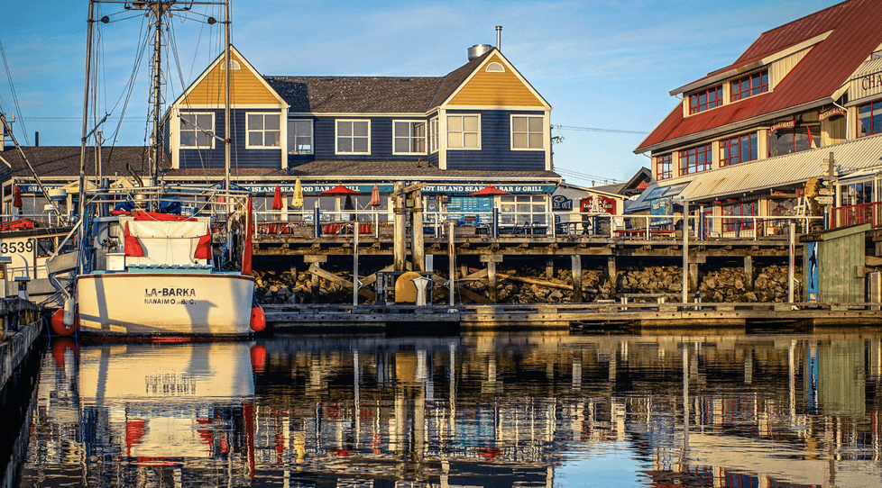 Richmond business owner reviewing SEO results showing increased local search visibility and customer inquiries