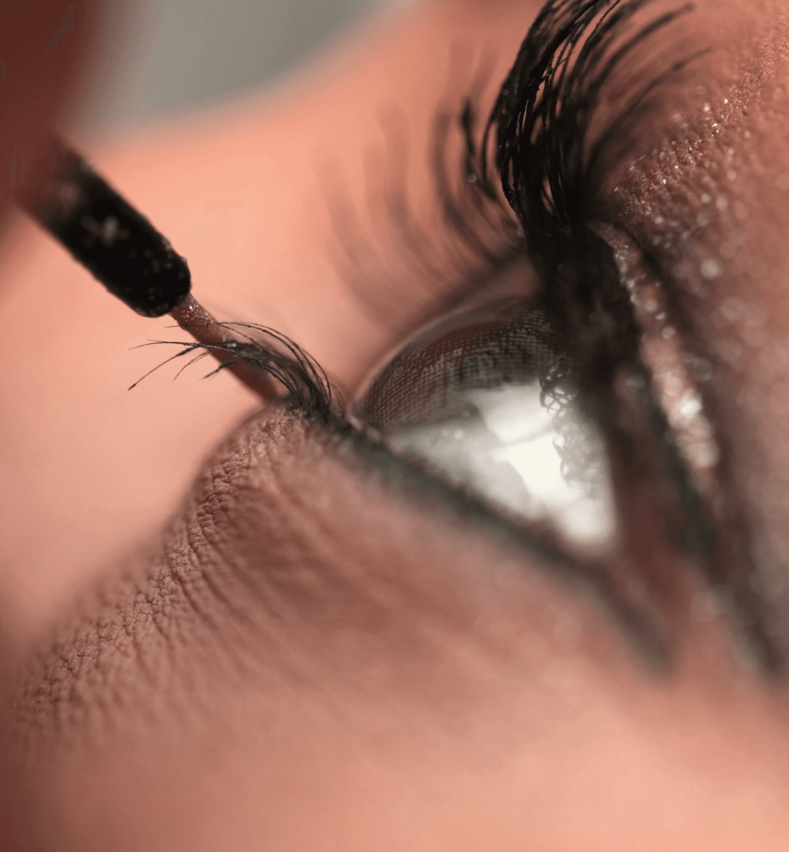 Lash & Brow Image