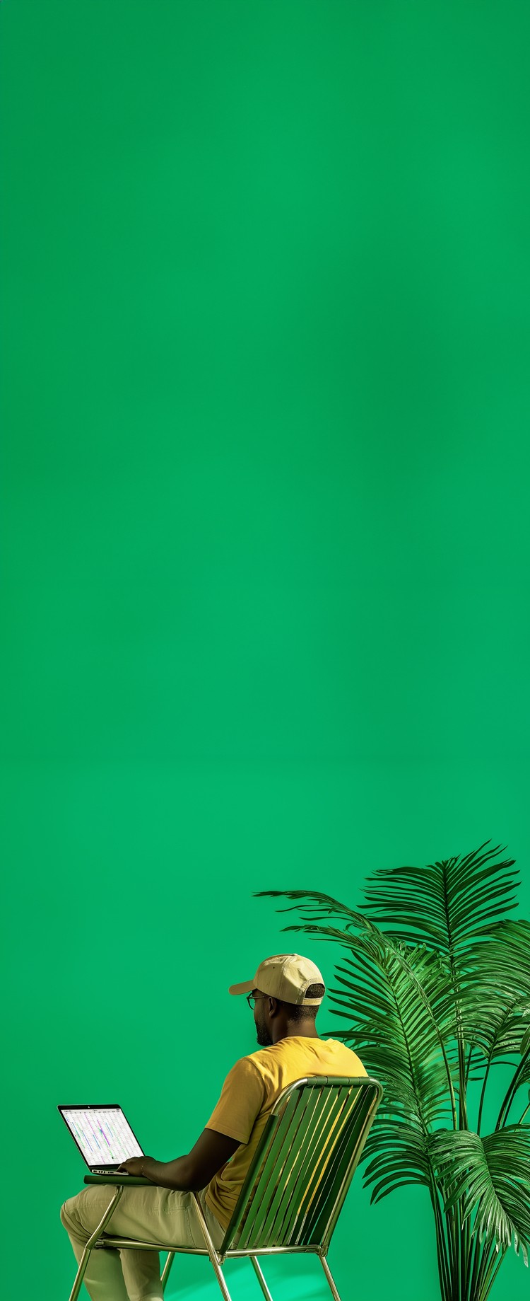 Traveller sits on a holiday chair working with his laptop, a palm tree in the background