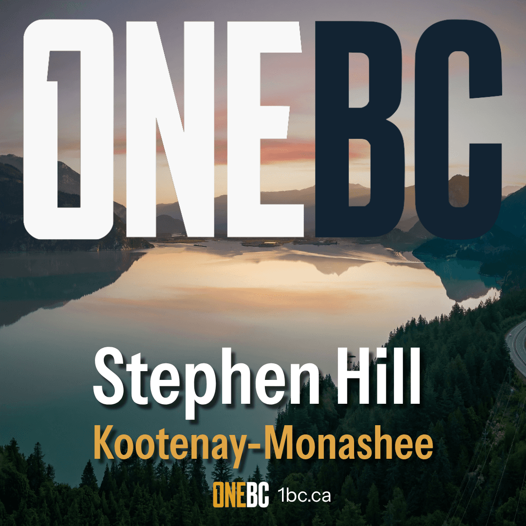 Stephen Hill, OneBC Candidate