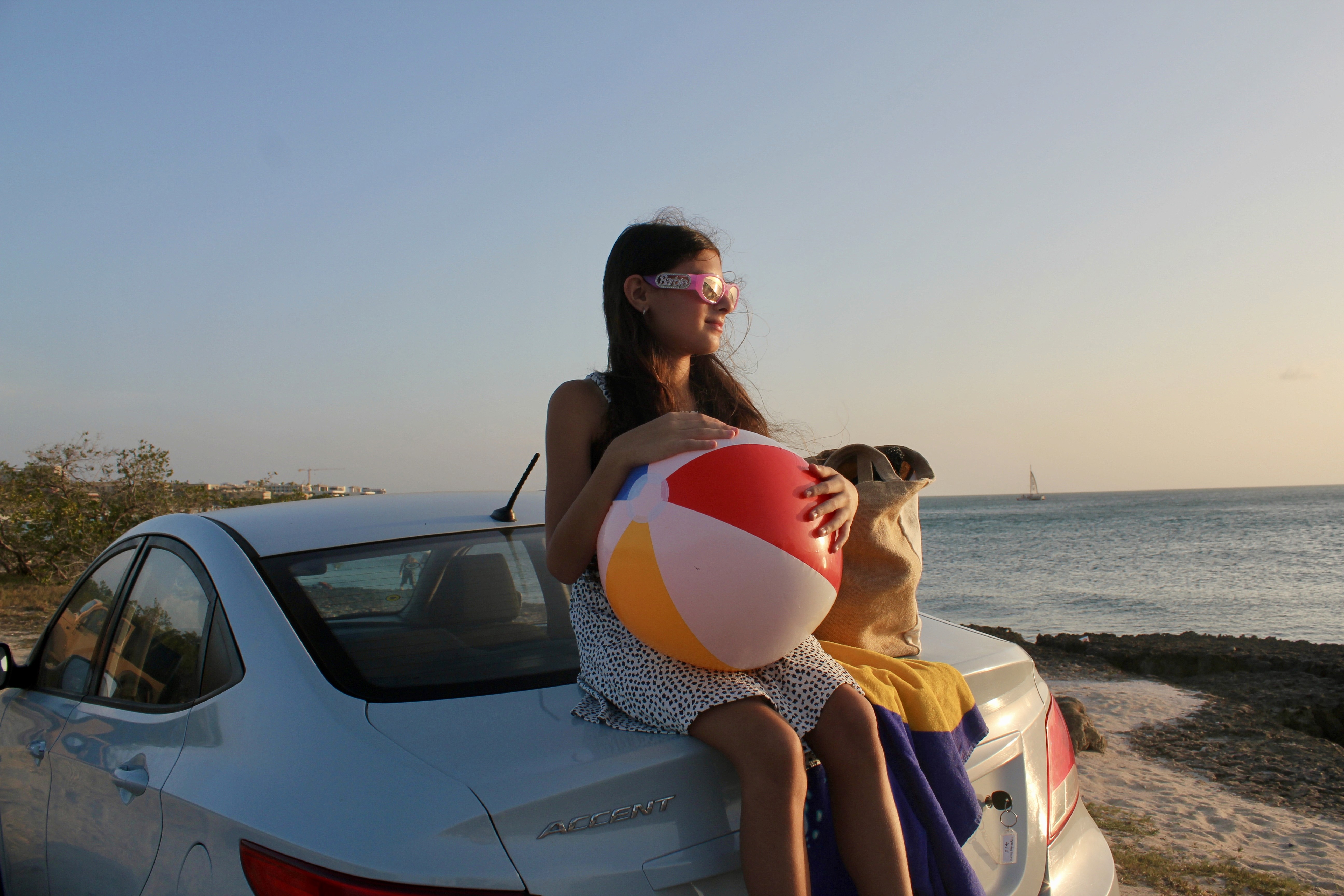 a small cactus in the middle of a rocky area