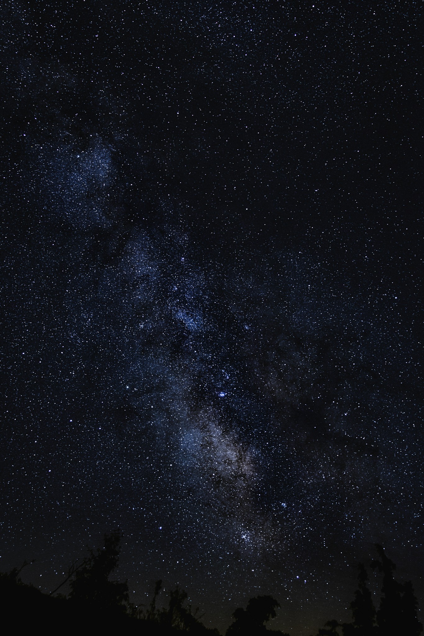 Fashion portrait photography