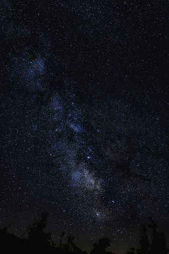 Fashion portrait photography