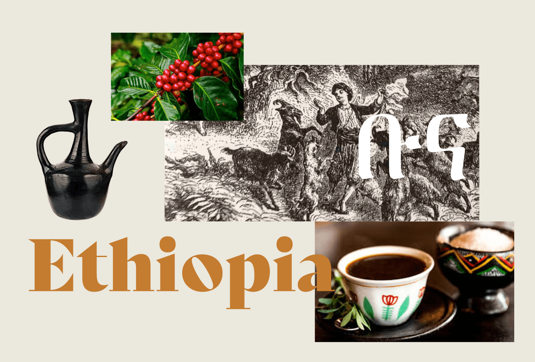 Origins, Sharjah, UAE, Ethiopian mood board, Coffee, Kaldi, coffee beans, old illustration, Ethiopian coffee cup