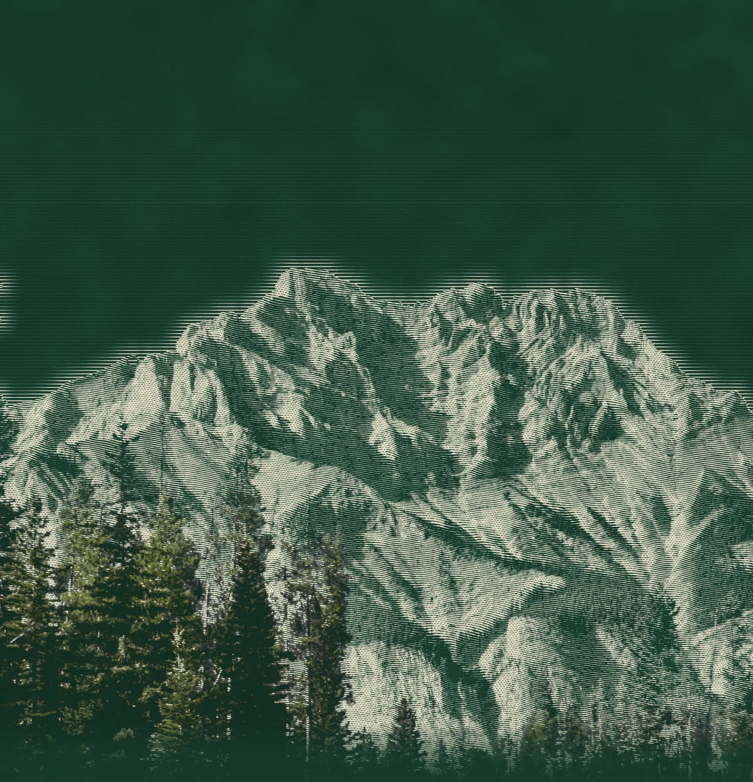 An engraved mountain in cream lines on deep green, with real spruce trees rising in front of it