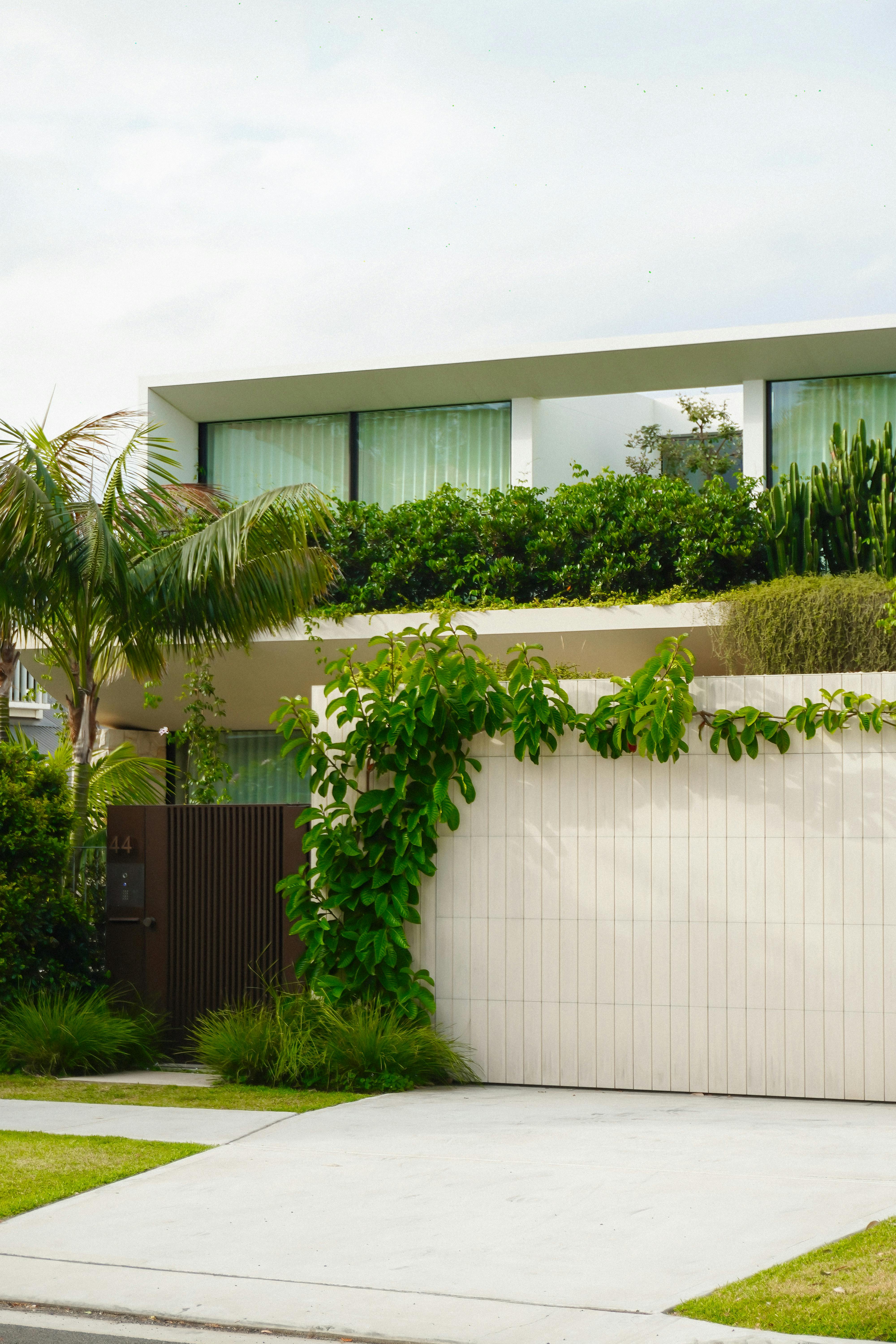 A modern eco-friendly home surrounded by greenery