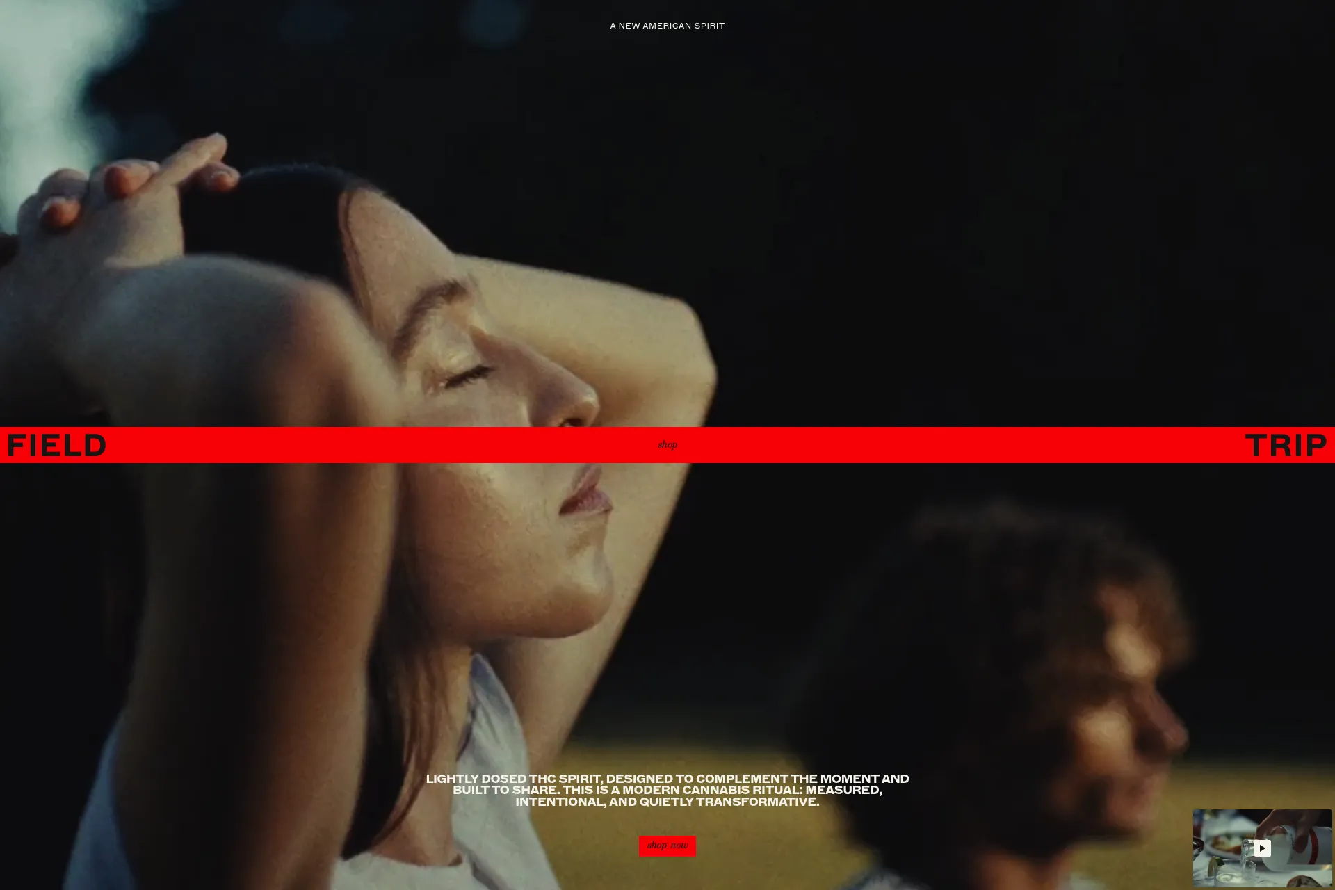 Screenshot of Field Trip website