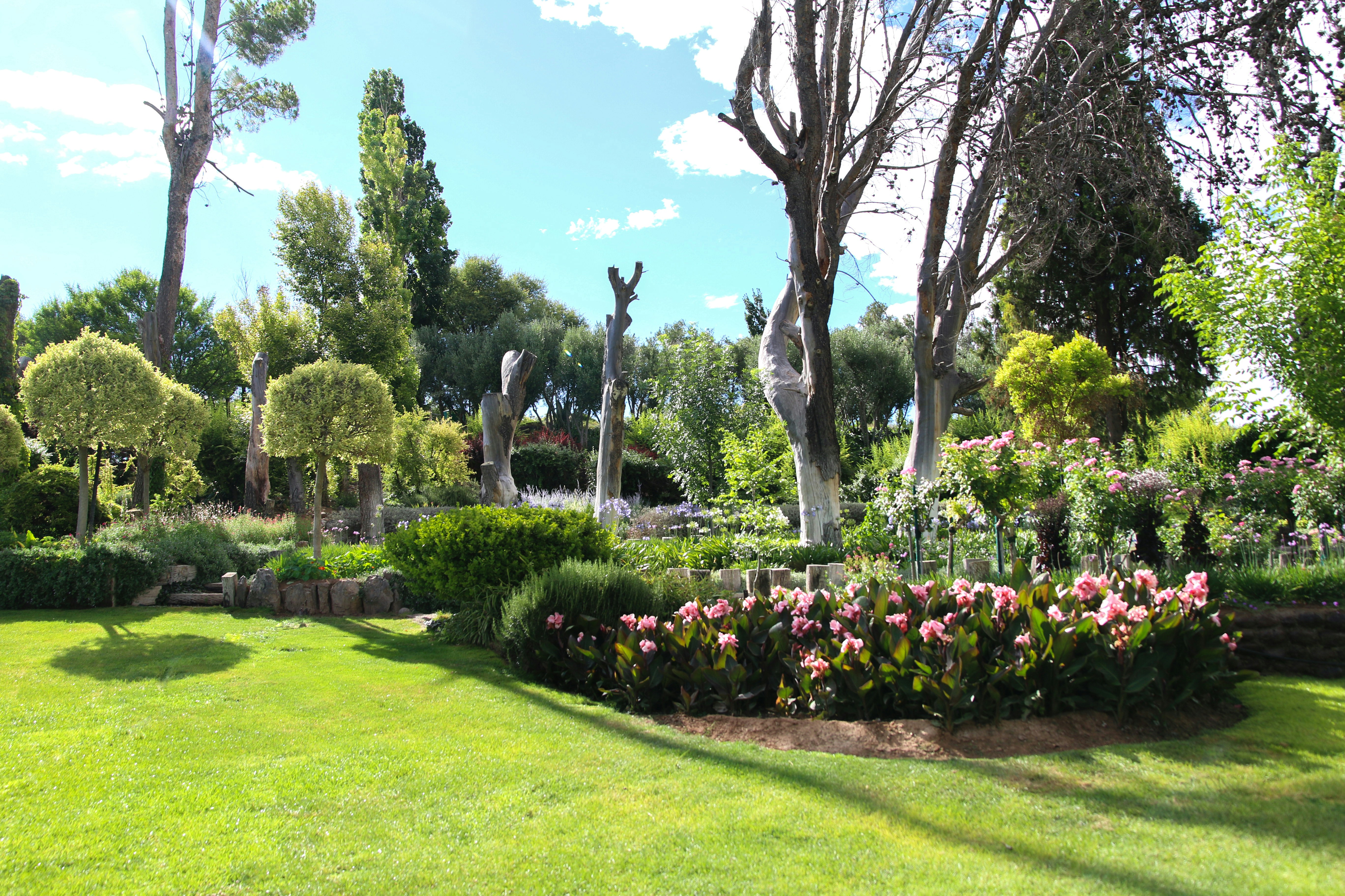 Jardin paysager avec arbres taillés, fleurs colorées et pelouse bien entretenue.