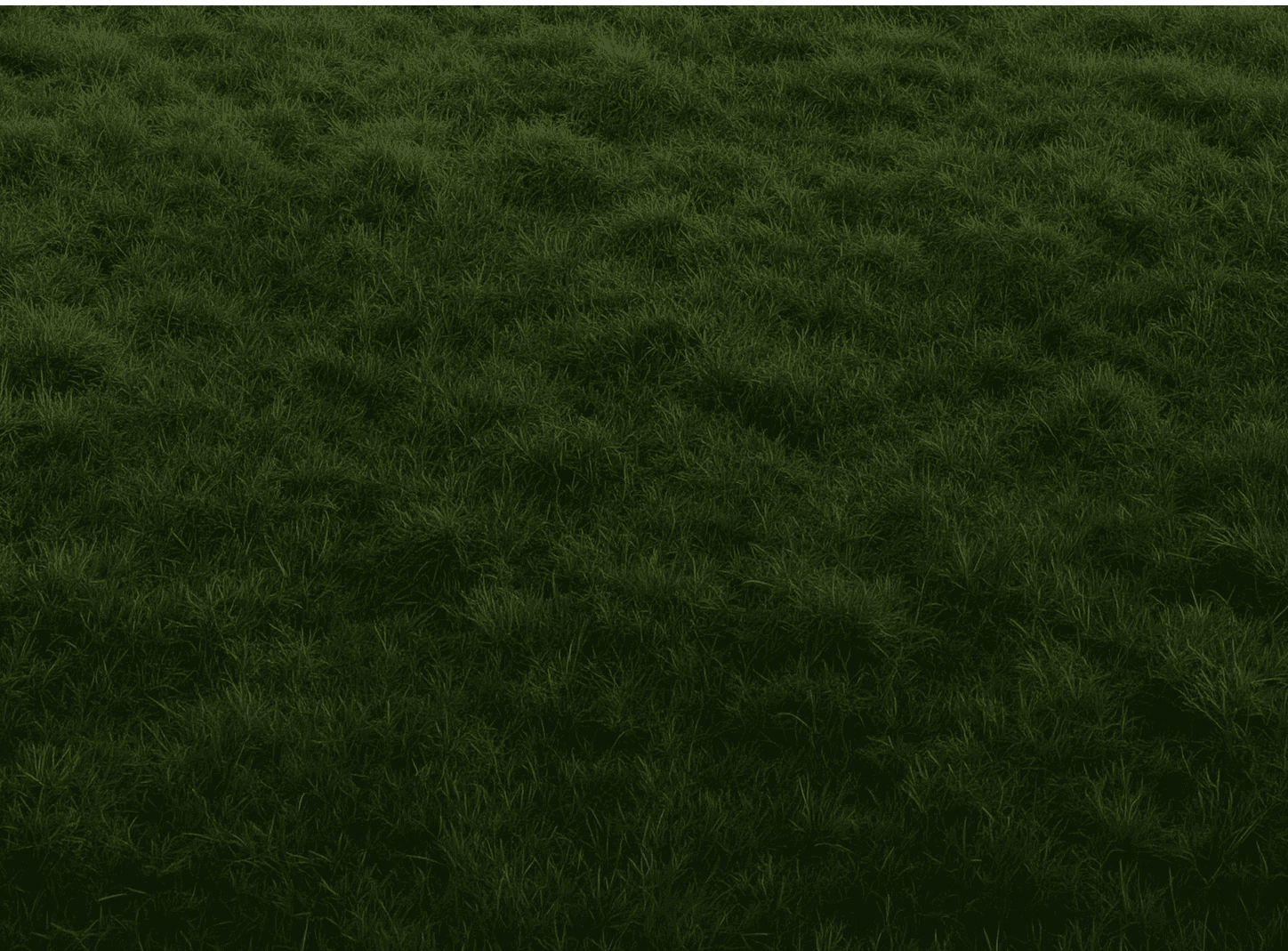 Grass