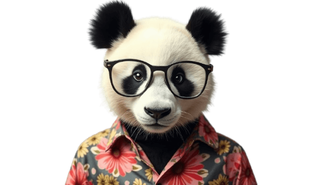 Illustrated panda wearing glasses and a floral shirt, set against a lime green background — used as the Sonoda Creative mascot.