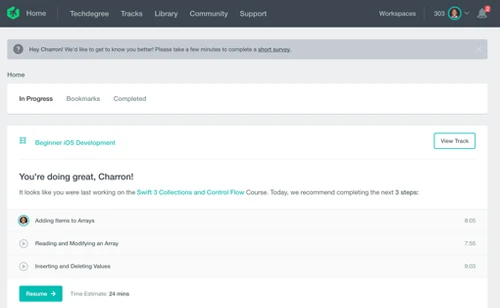 Competitive reference showing course and learner management.