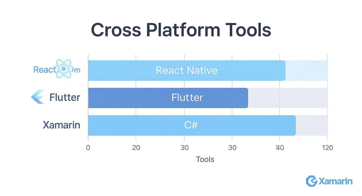 Infographic about cross platform mobile development tools