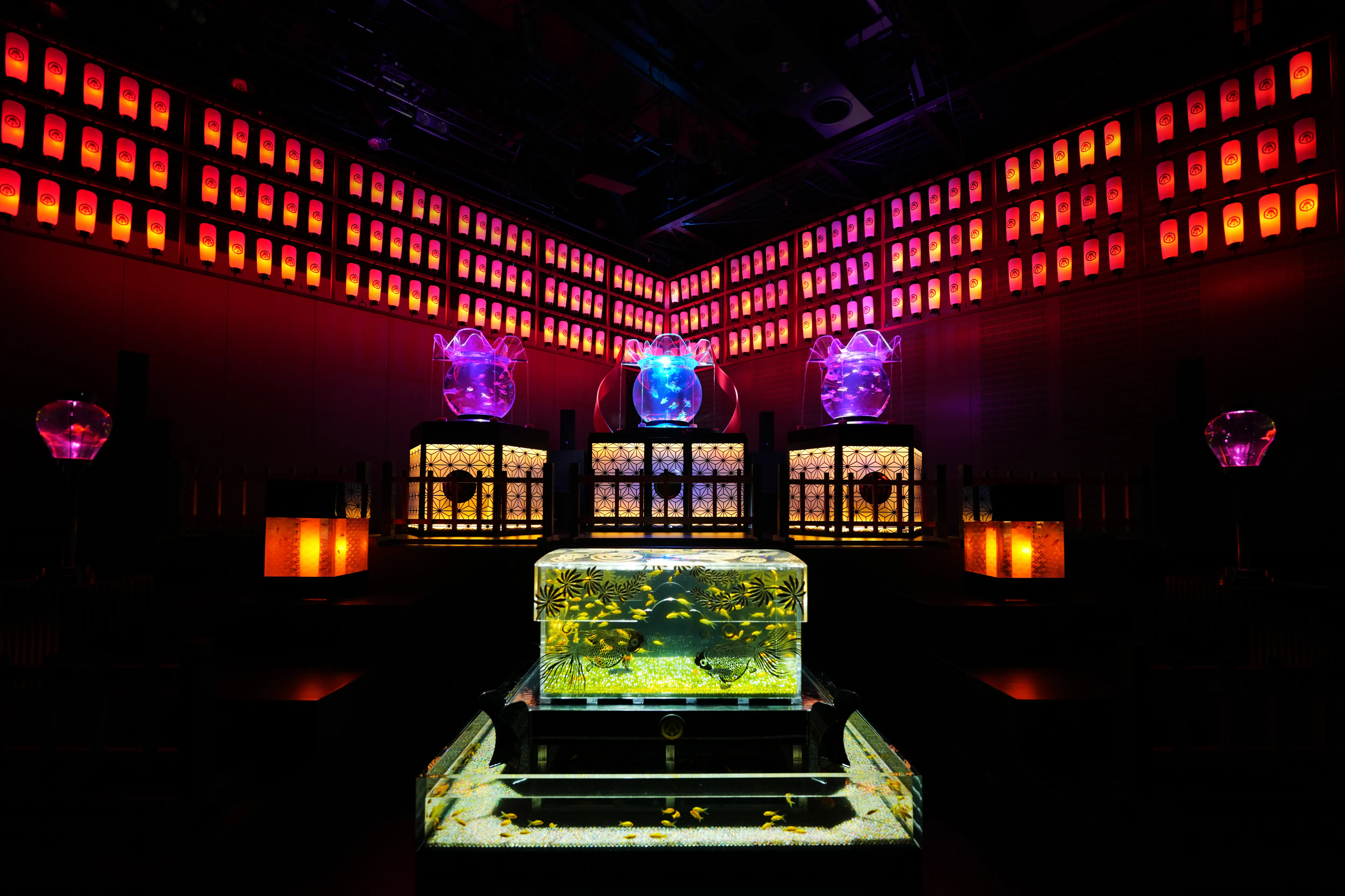 照明演出を取り入れたアート性の高いアクアリウム展示空間