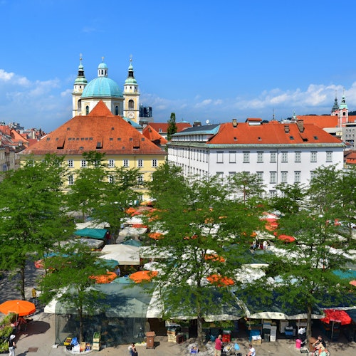 Външен пазар с щандове под дървета, разположени на площада, заобиколен от цветни сгради и внушителна църква със зелени куполи.
