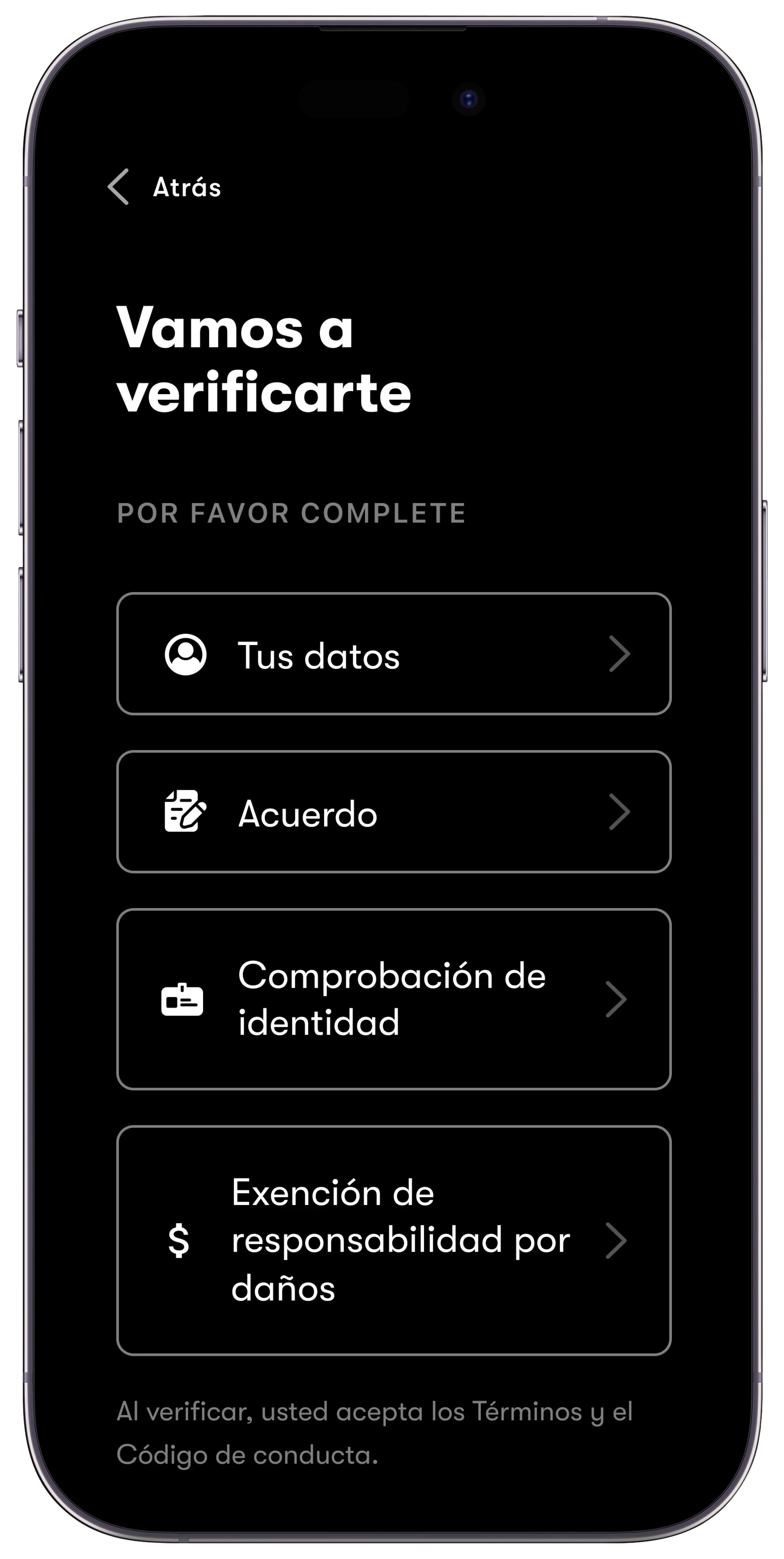 Verification Options