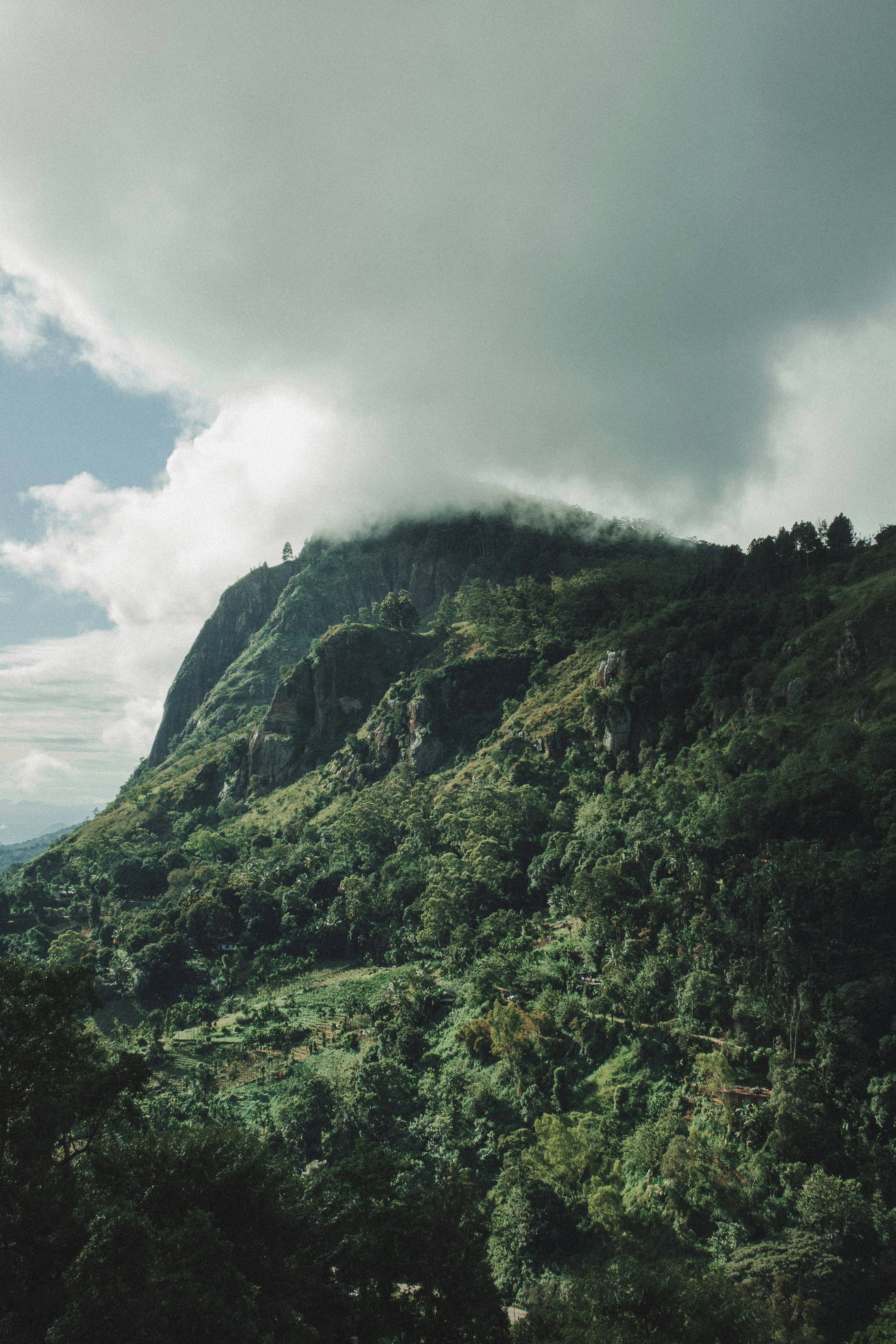a lush green hillside covered in trees under a cloudy sky