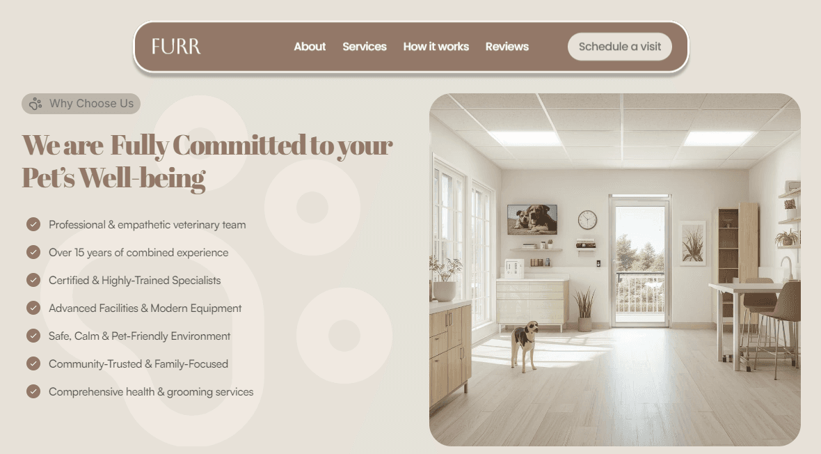 Overview of pet care services such as grooming and training