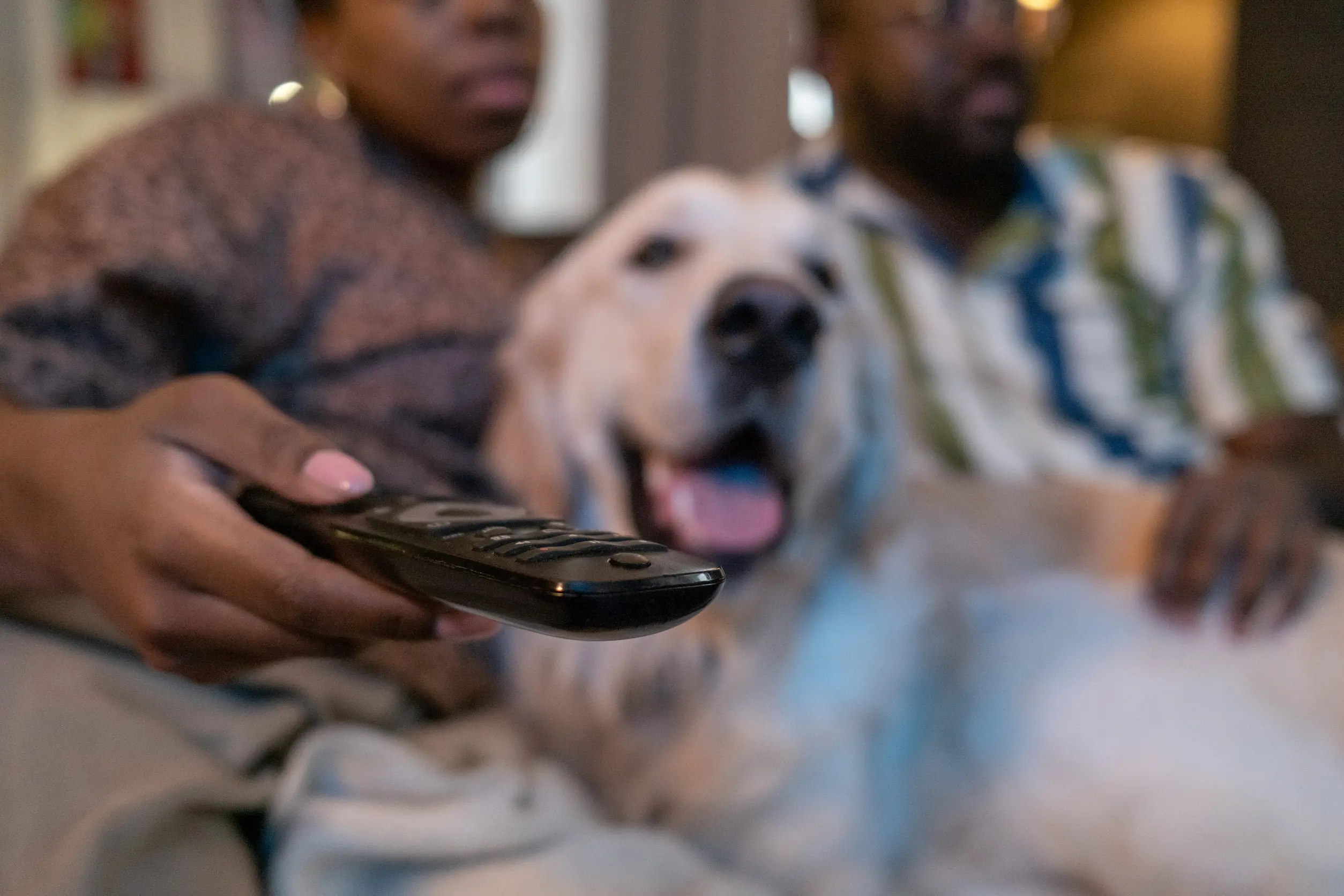 https://storage.googleapis.com/framer-import/blog/woman-watching-tv.webp