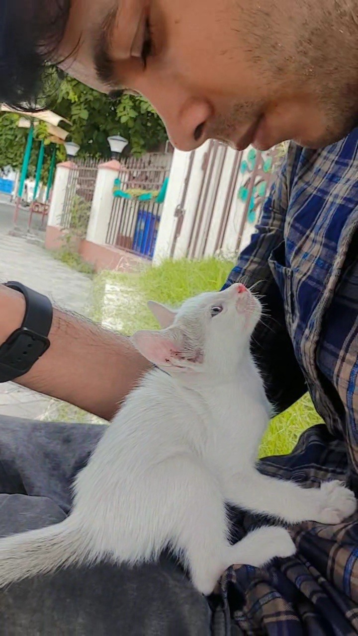 The image featured at the top of the about us page #2