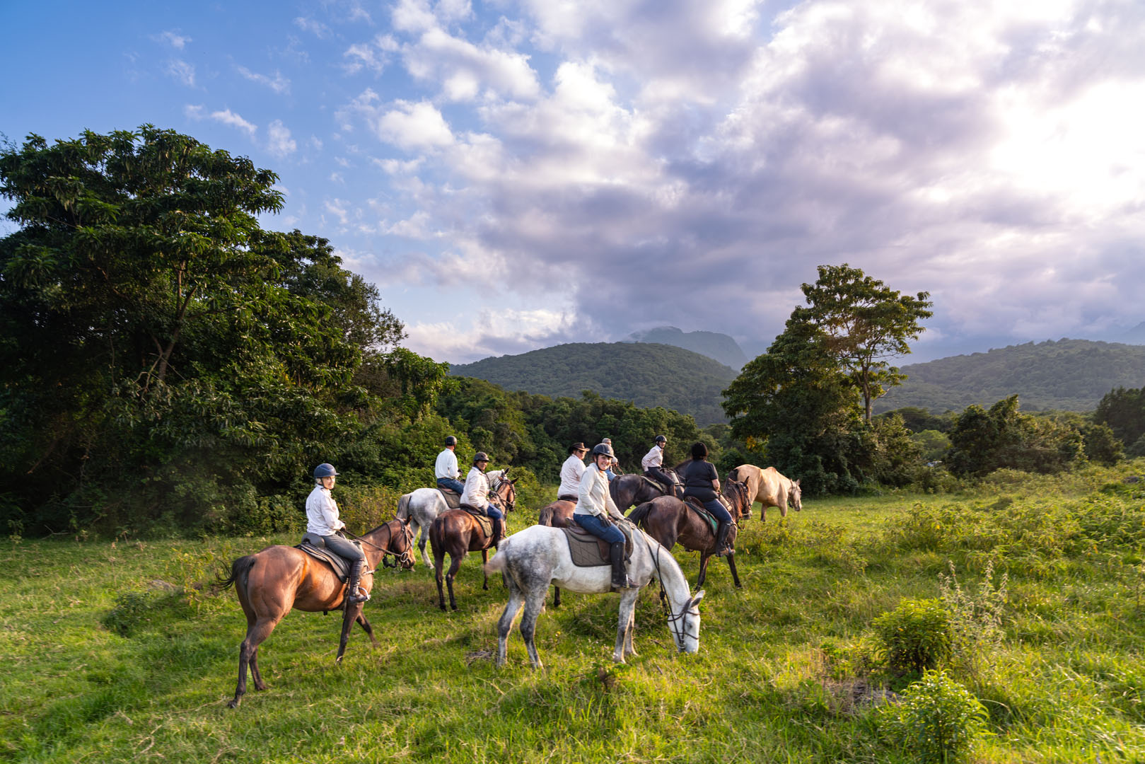 Kilimanjaro Elephant Ride, Arusha National Park, Tanzania – elefant i högt gräs tittar mot kameran, medan fem ryttare till häst på ridsafari i bakgrunden betraktar elefanten i ett grönt och frodigt landskap.