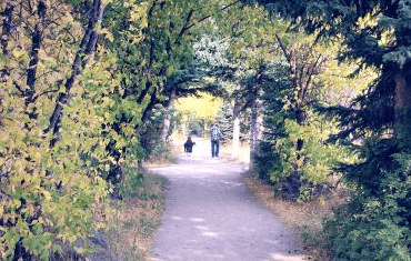 People walking down a treed path