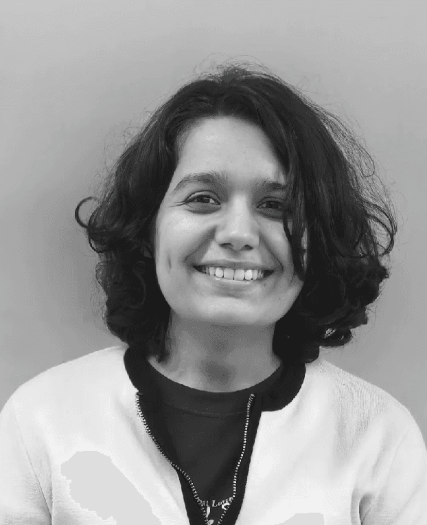 Close-up of a dark green leaf showing its textured surface and central vein against a muted background.