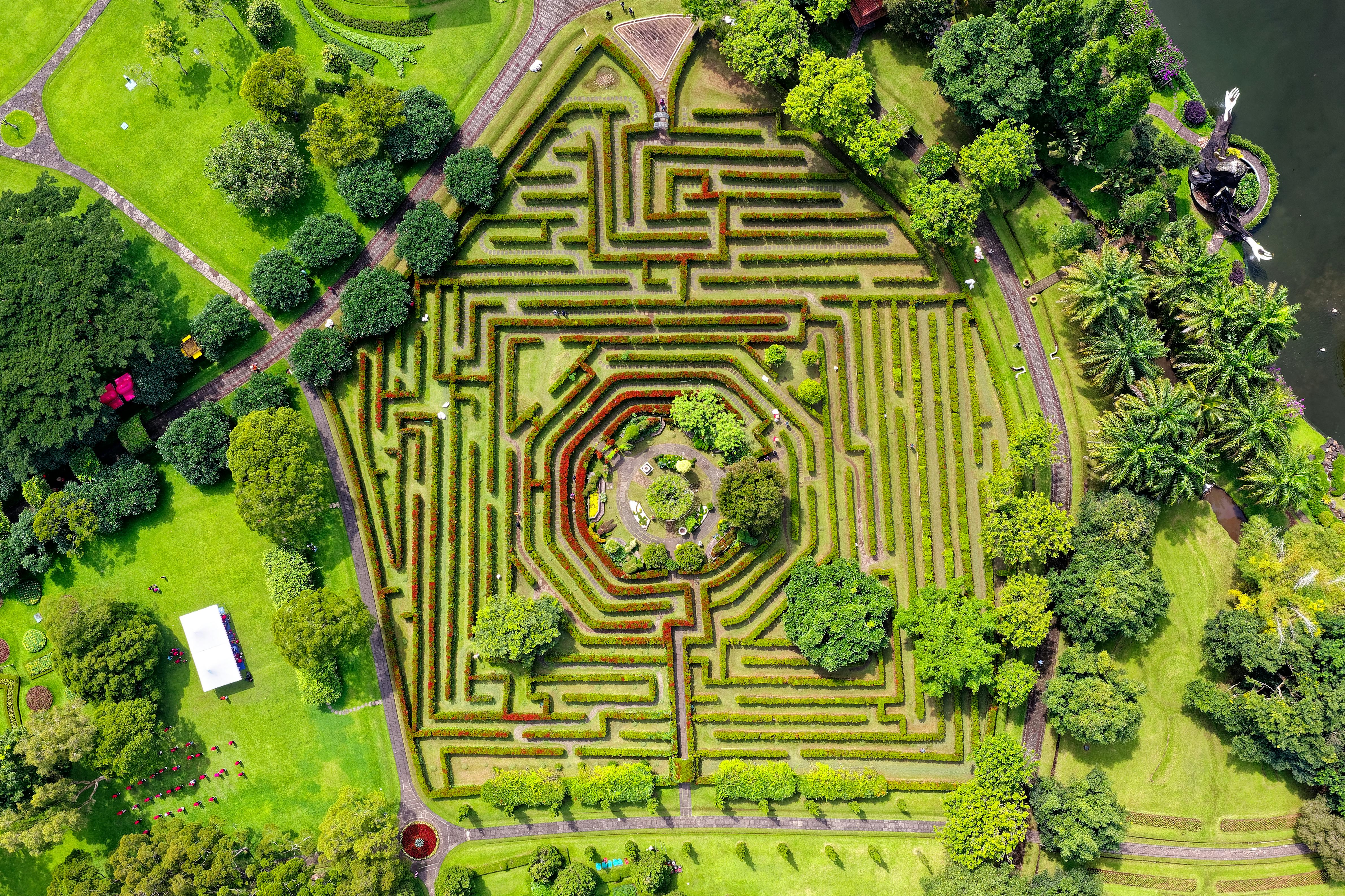 Green maze