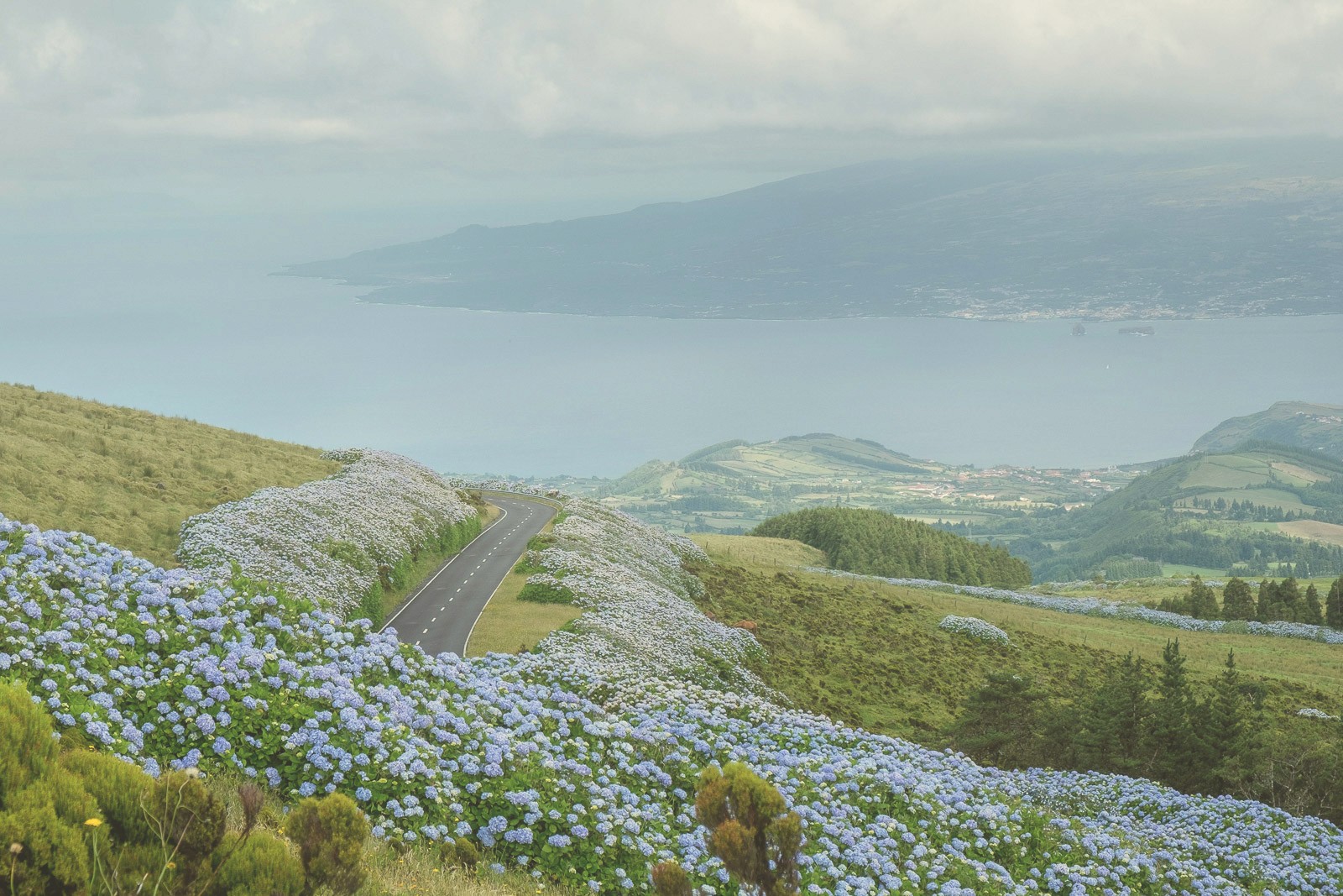 blue and white painted houses on the cliff