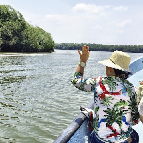 Chuyến tham quan bằng thuyền qua các đầm lầy ngập mặn Mandinga