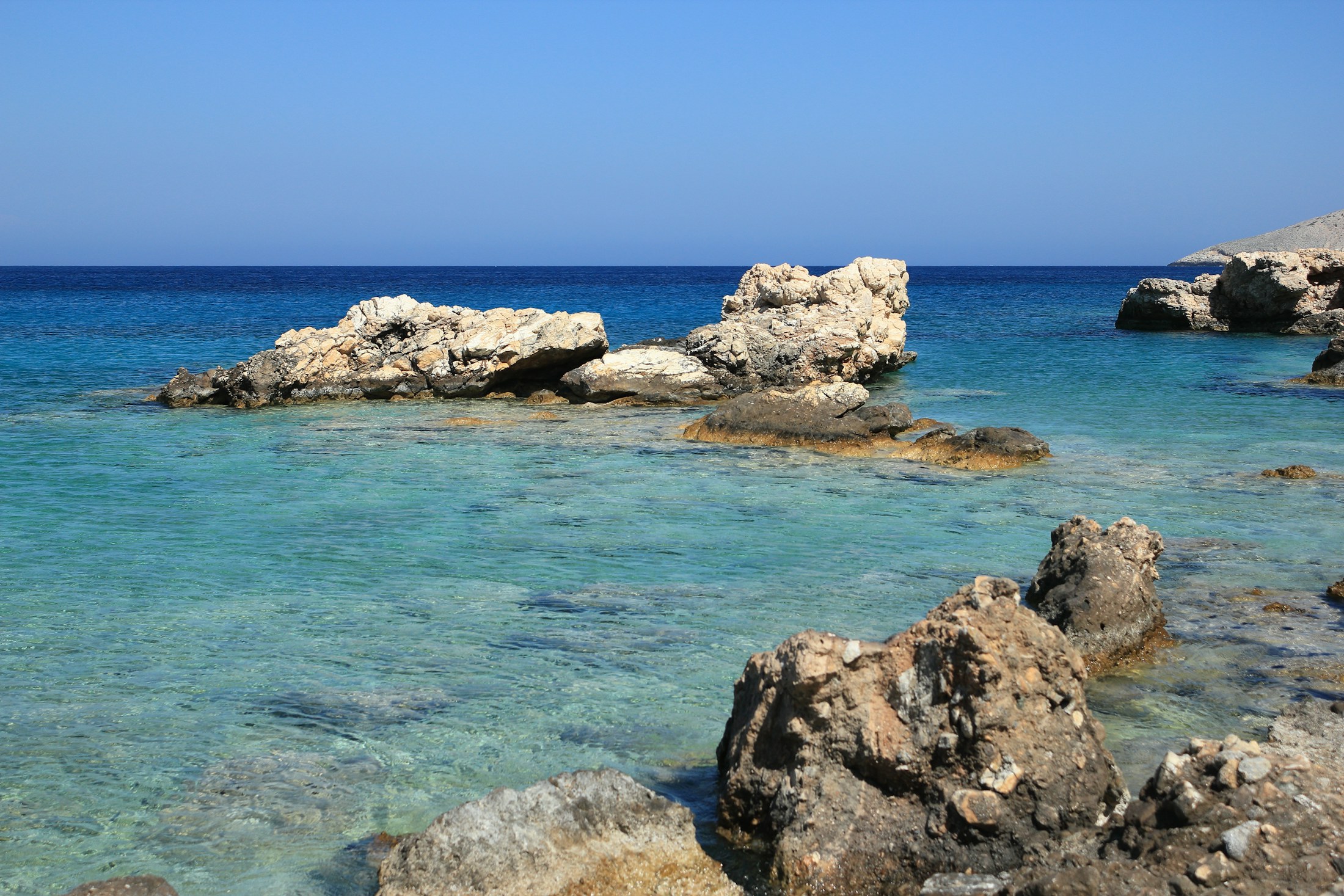 Swimming off the rocks