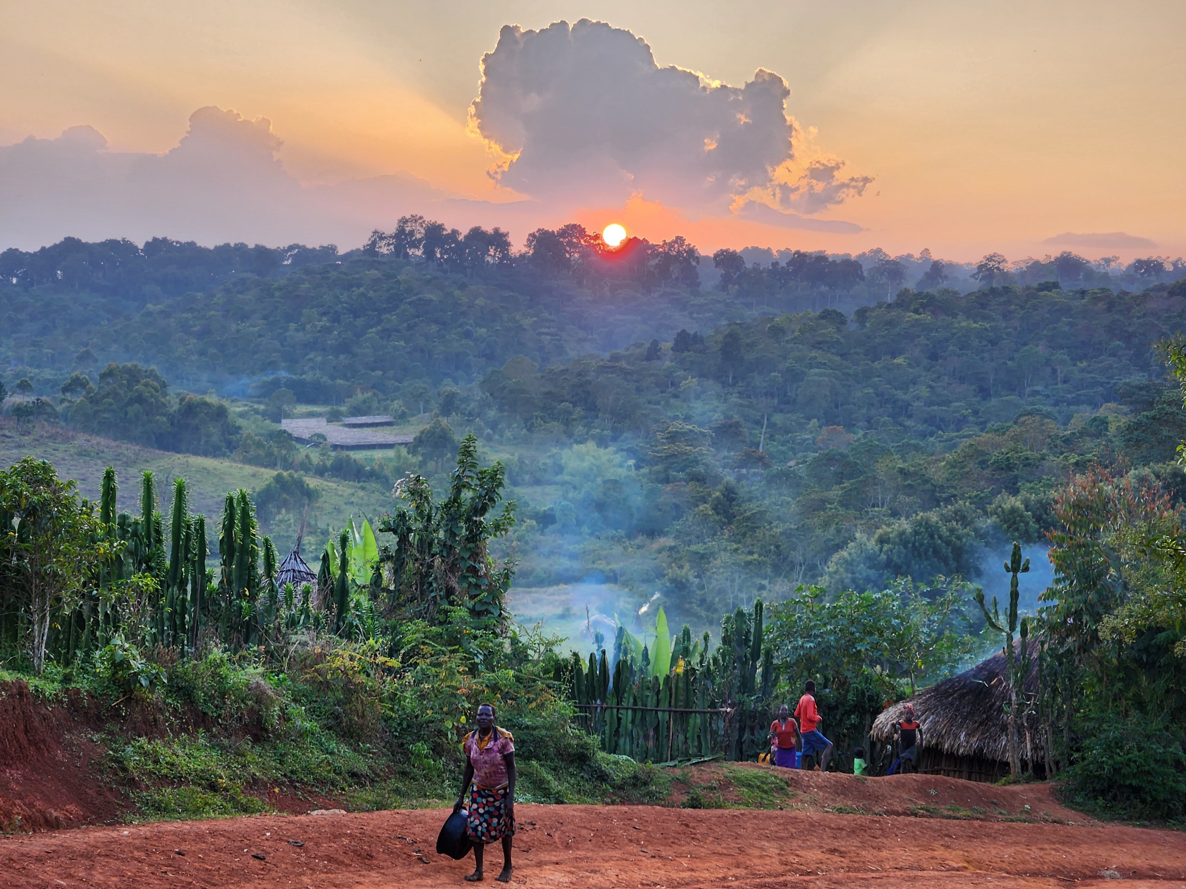 Gesha Village coffee farm