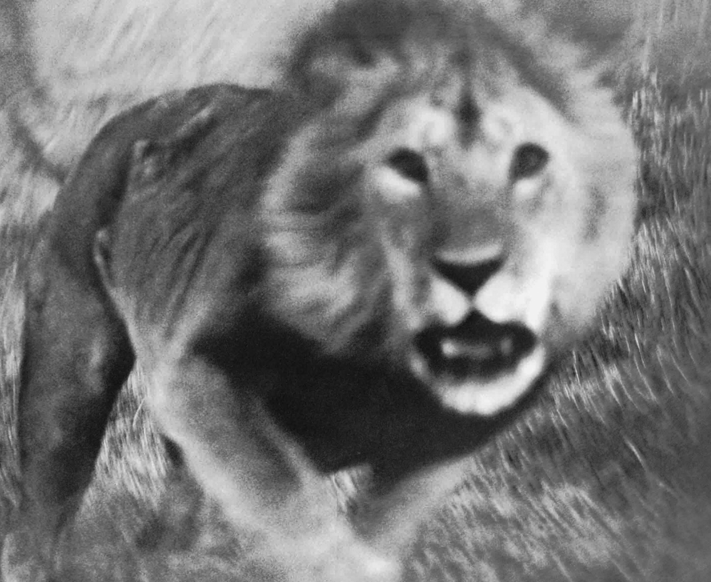 Peter Beard