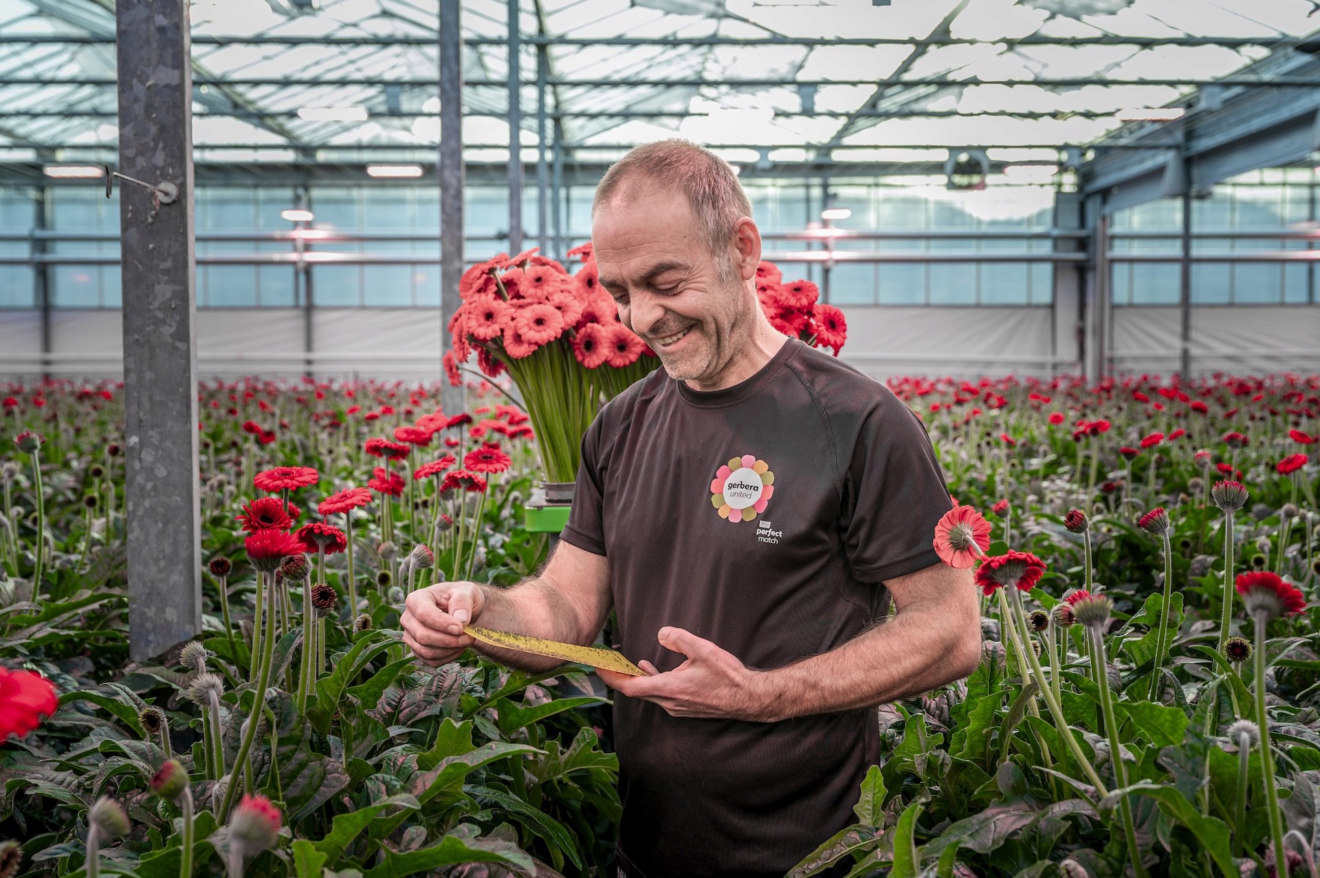 Jep! marketing project: BKV