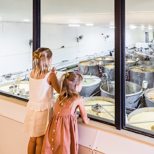 Dua gadis muda mengamati tangki industri besar melalui jendela di sebuah pabrik yang cerah dan bersih.