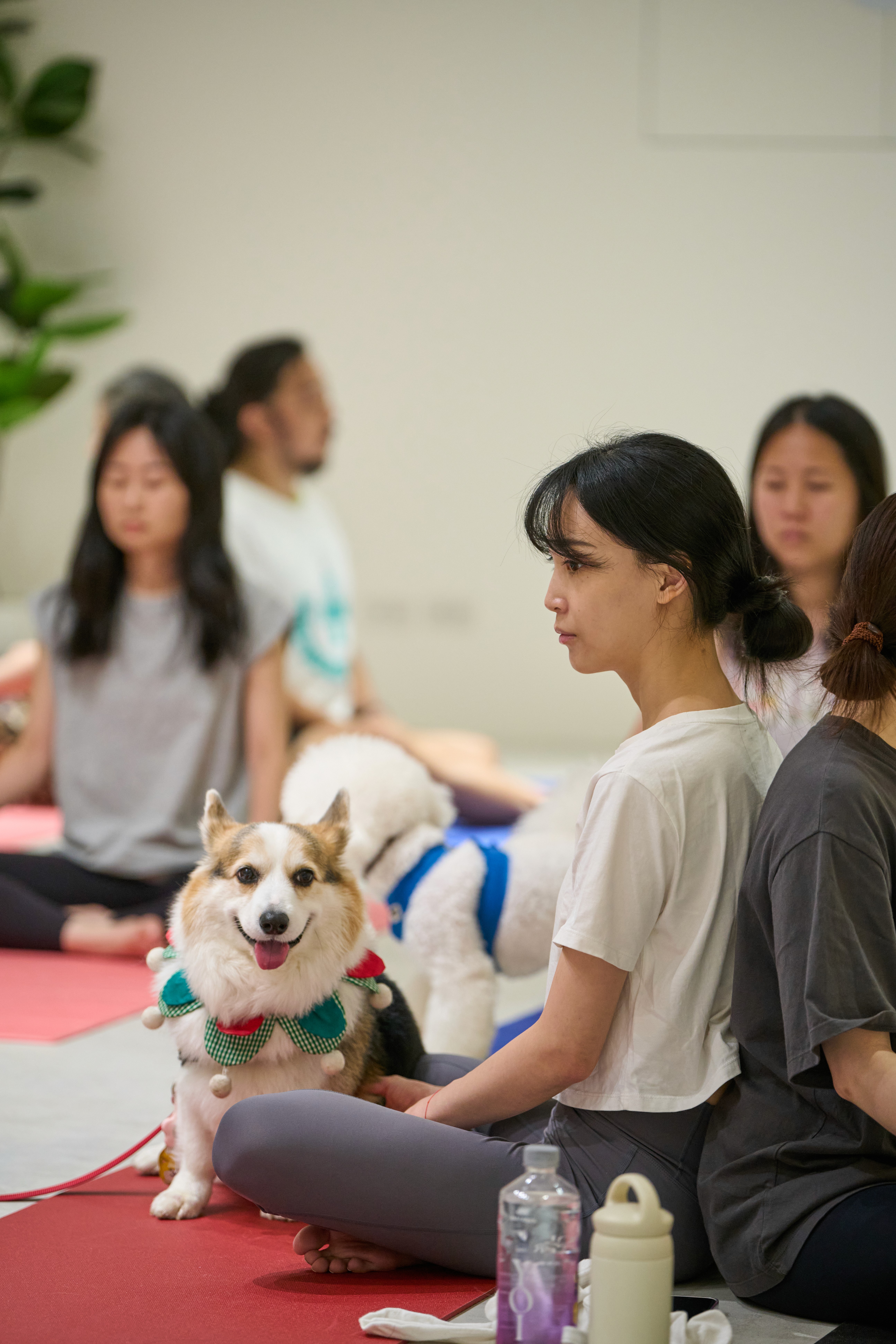 image of a cute girl in a red down