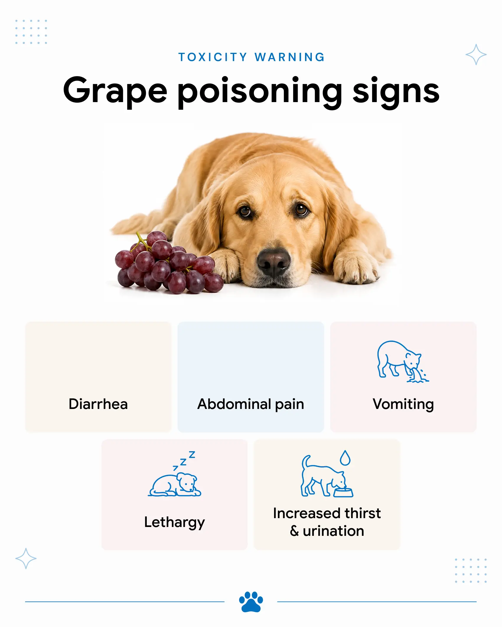 An infographic detailing the symptoms of grape poisoning in dogs.