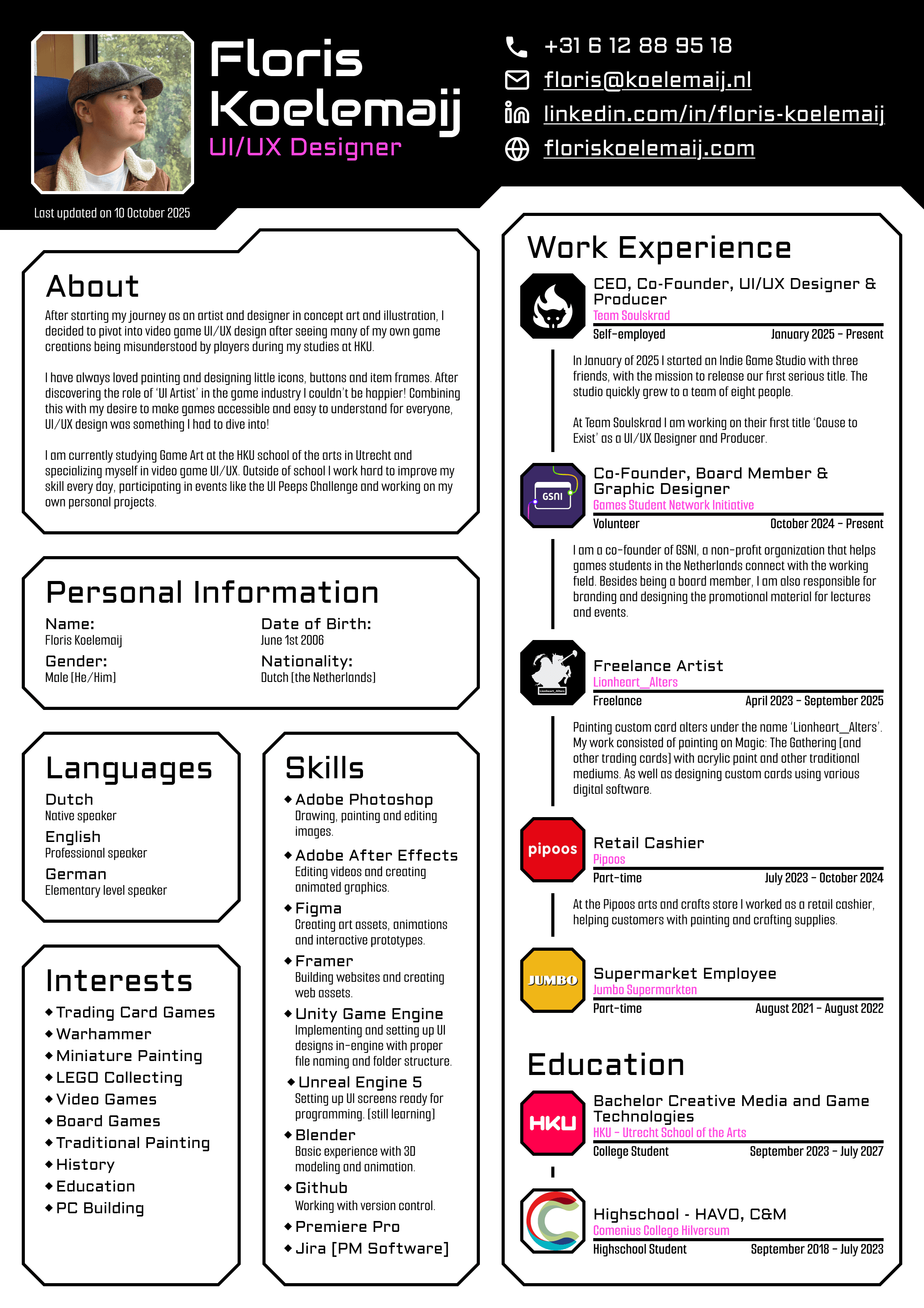 floris koelemaij cv and resume