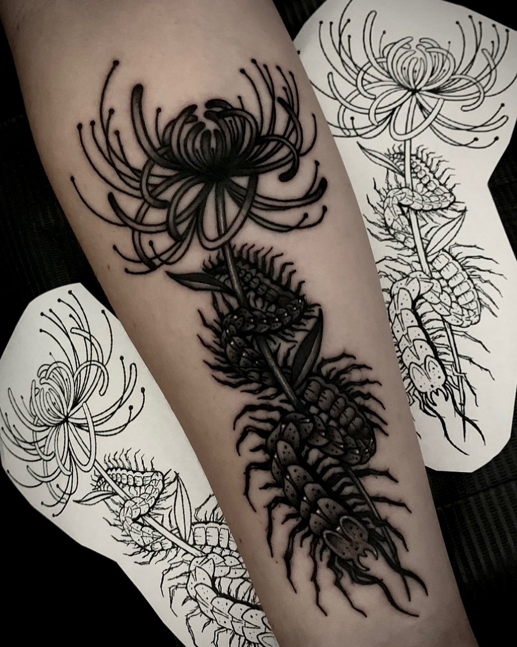 black spider lily tokyo ghoul tattoo