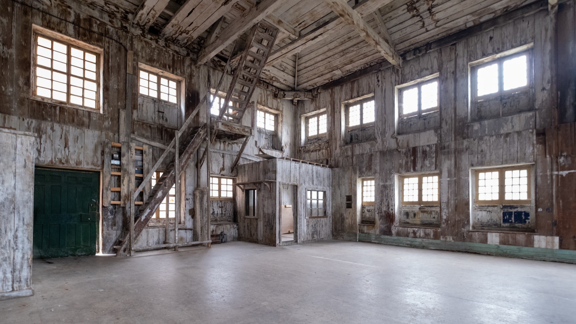 Two classic volkswagen beetles, one green, one cream.