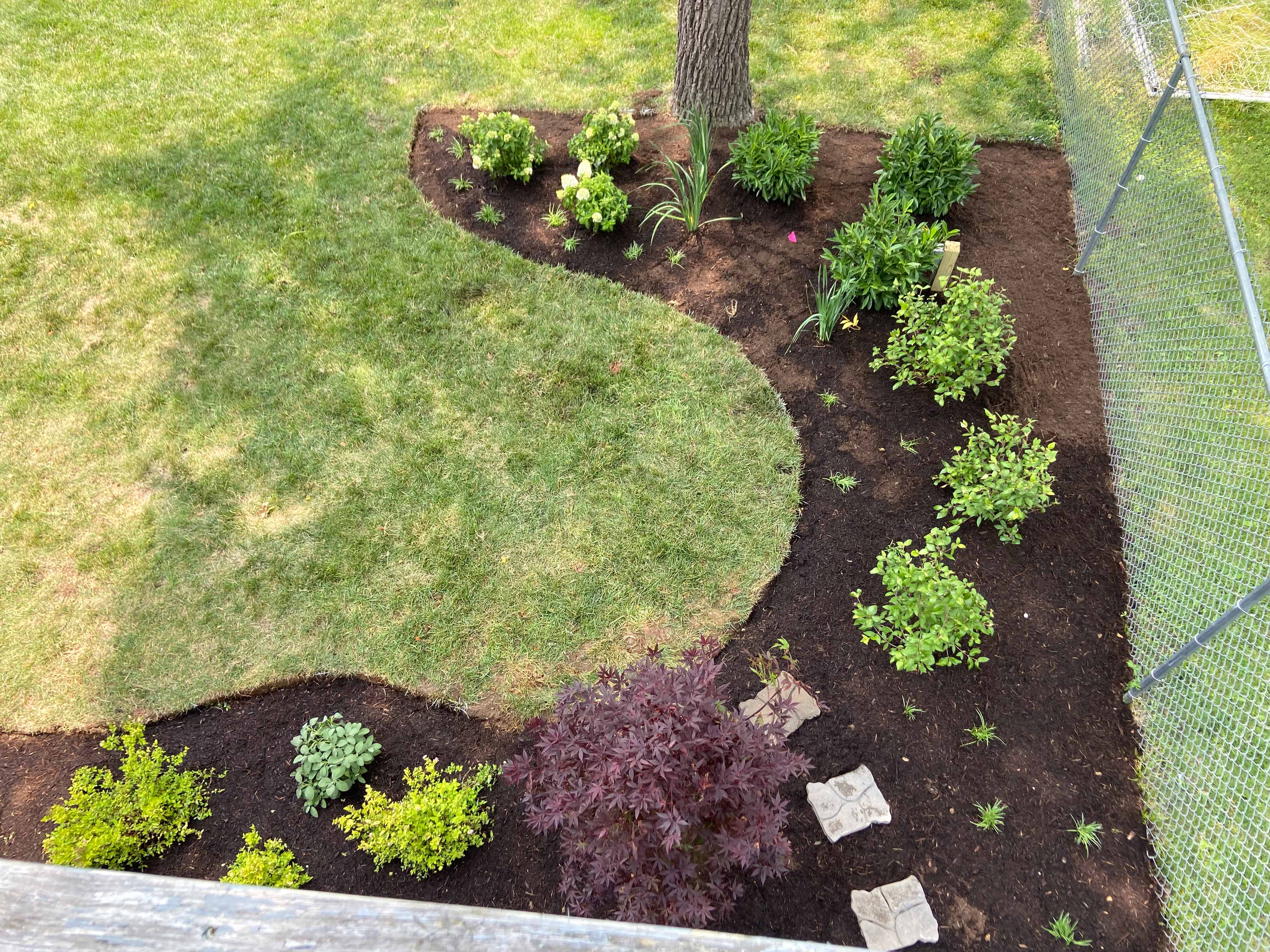 Curved mulched bed with shrubs and stepping stones.