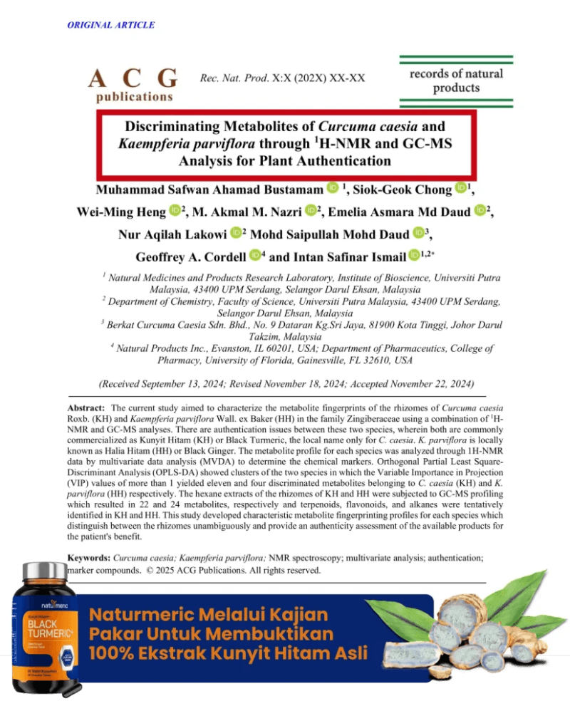 wakil naturmeric membuat penyelidikan kunyit hitam di UPM