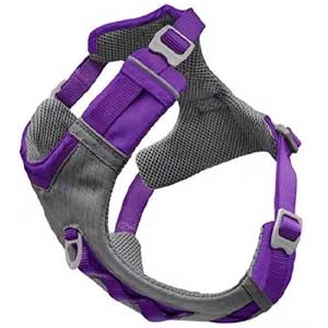 Kurgo Journey Air Harness
