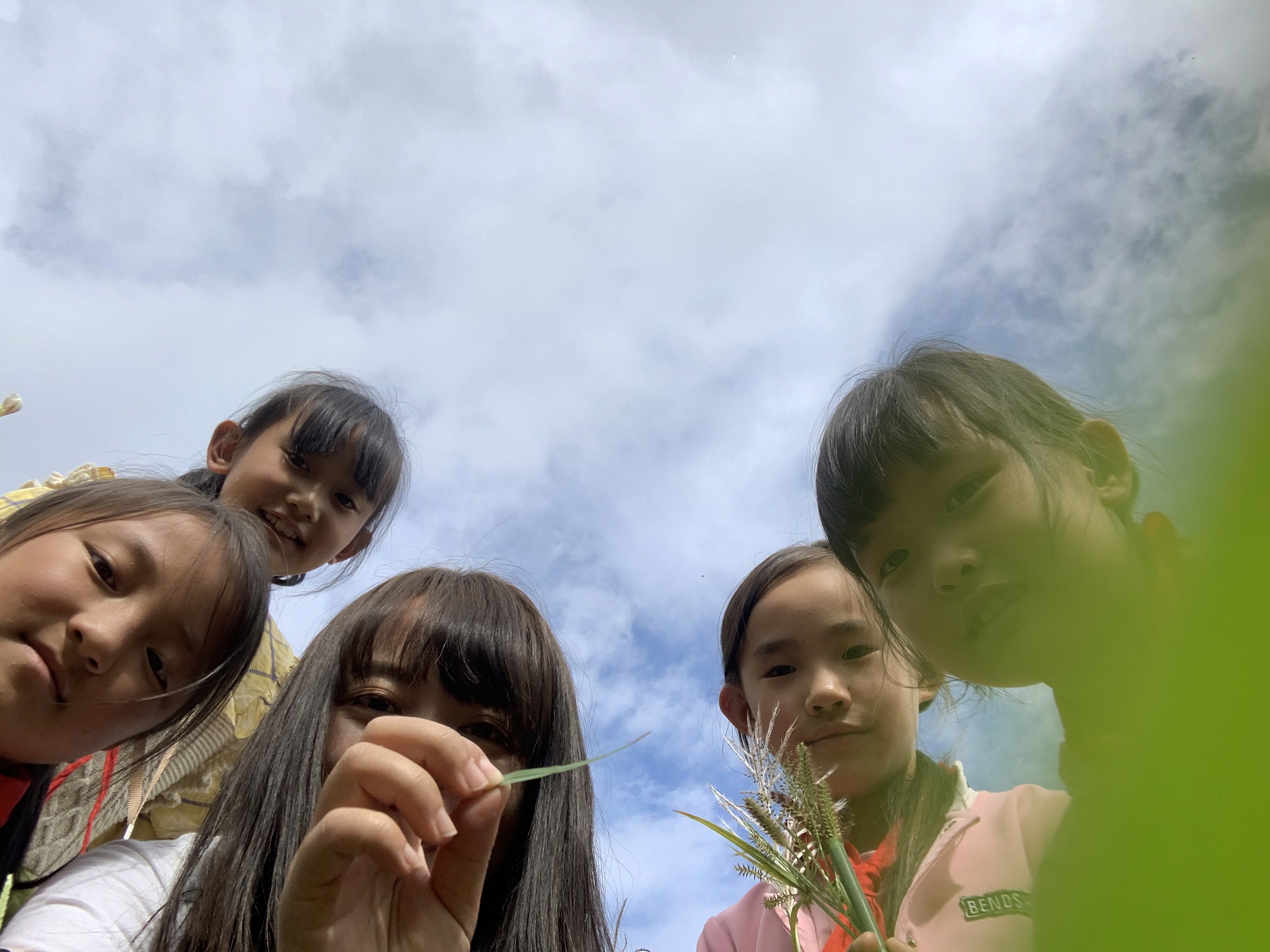 孩子们在户外活动