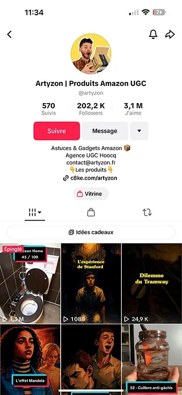 Profil Tiktok Artyzon