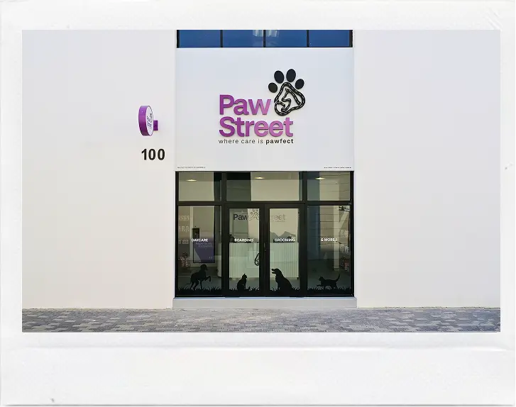 pawstreet shop