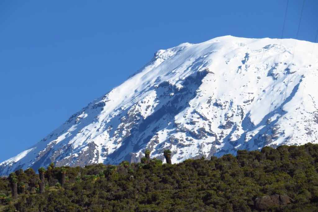 Snowy summit of Kilimanjaro