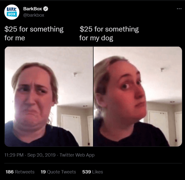 Tweet by Barkbox targeting and engaging with dog owners through a relatable meme in the ‘Kombucha Girl’ format.