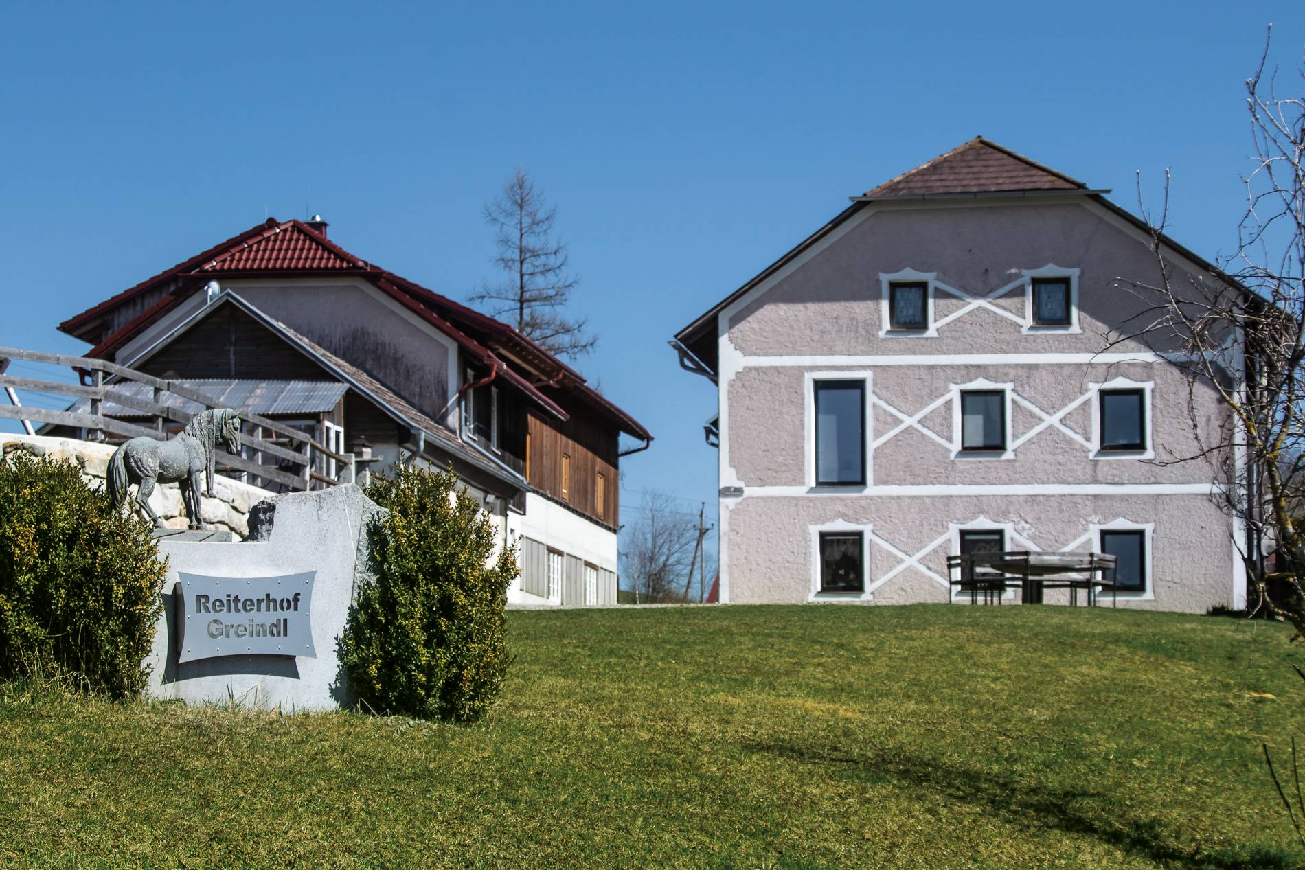Close-up of lush, dark green leaves, some glossy and wet, against a muted background.