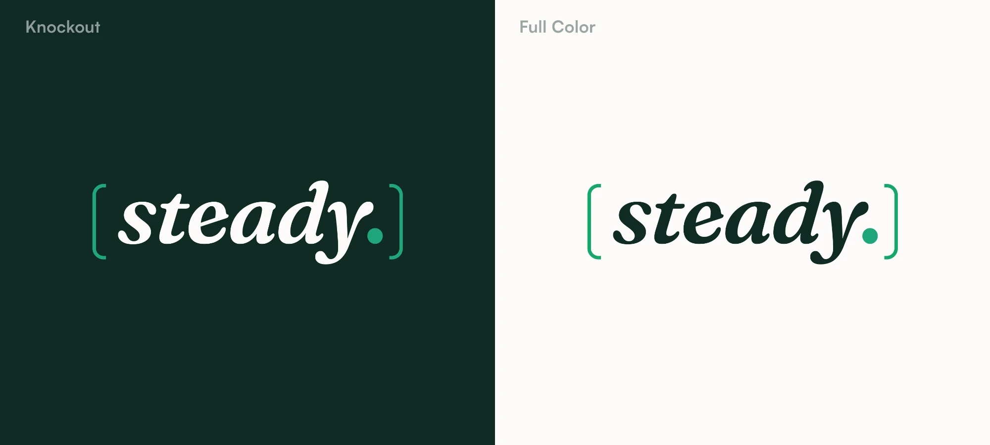 Steady brand identity system showing teal color palette, typography, and logo variations